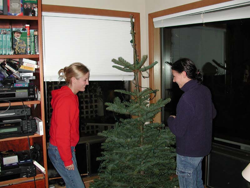 Stacie decorating tree 4.jpg 74.3K